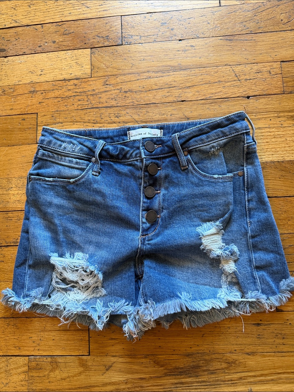 Articles of Society Distressed Button-Fly Denim Shorts in Blue